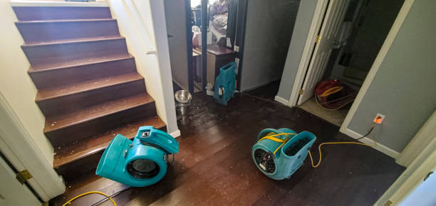 Best Carpet water damage restoration  in Long Beach, IN