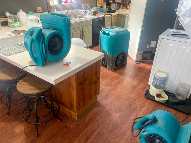  Long Beach, IN Water damage restoration Pros