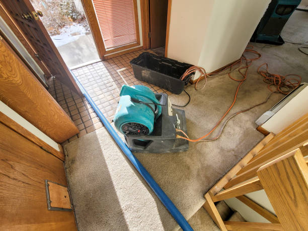 Best Fire Damage Restoration  in Long Beach, IN