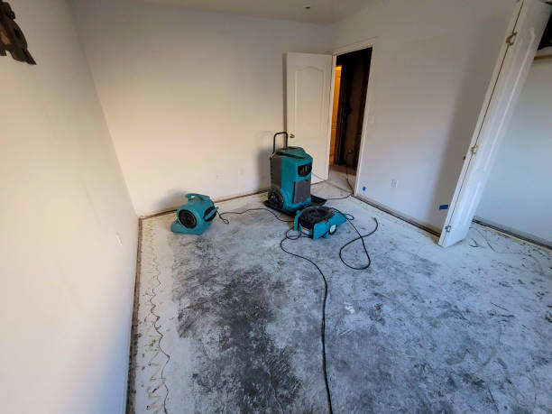 Best Water damage restoration near me  in Long Beach, IN