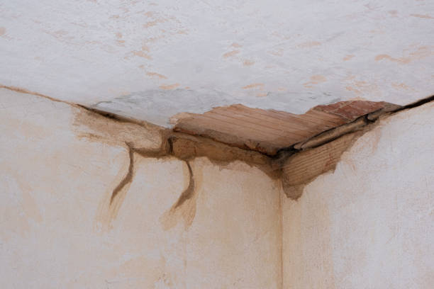 , IN Water damage restoration Company
