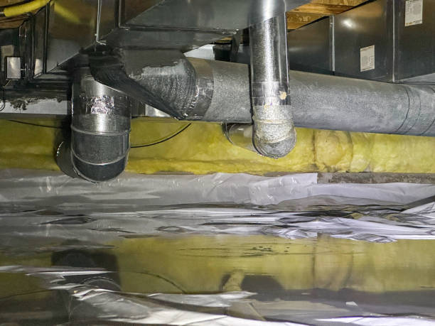 Best Water damage mitigation services  in Long Beach, IN