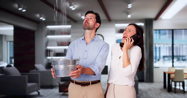 Best Professional water damage repair  in Long Beach, IN