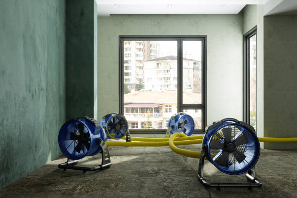 Best Fire Damage Restoration  in Long Beach, IN